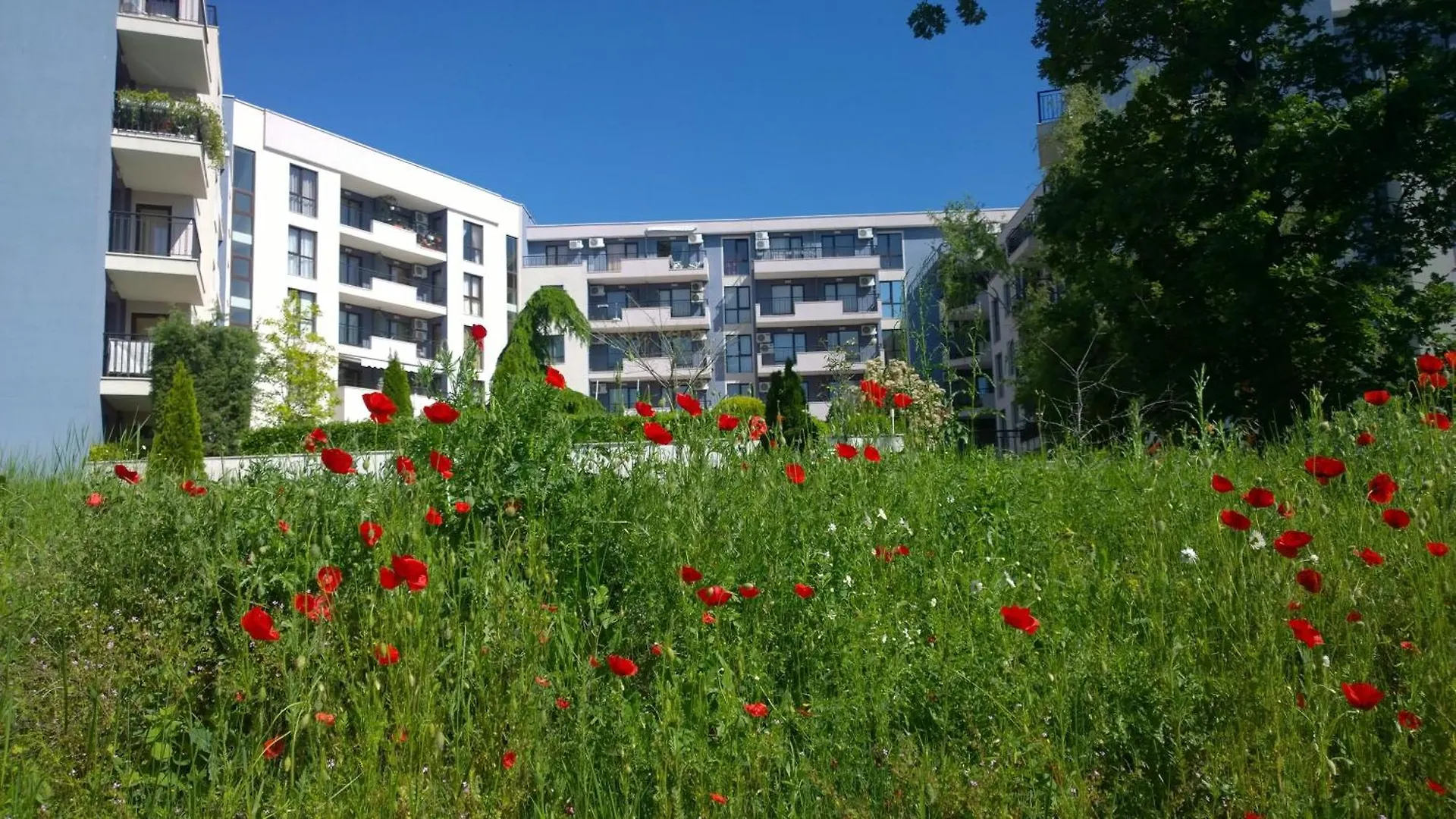 Aparthotel Apart Complex Amphora Palace Golden Sands
